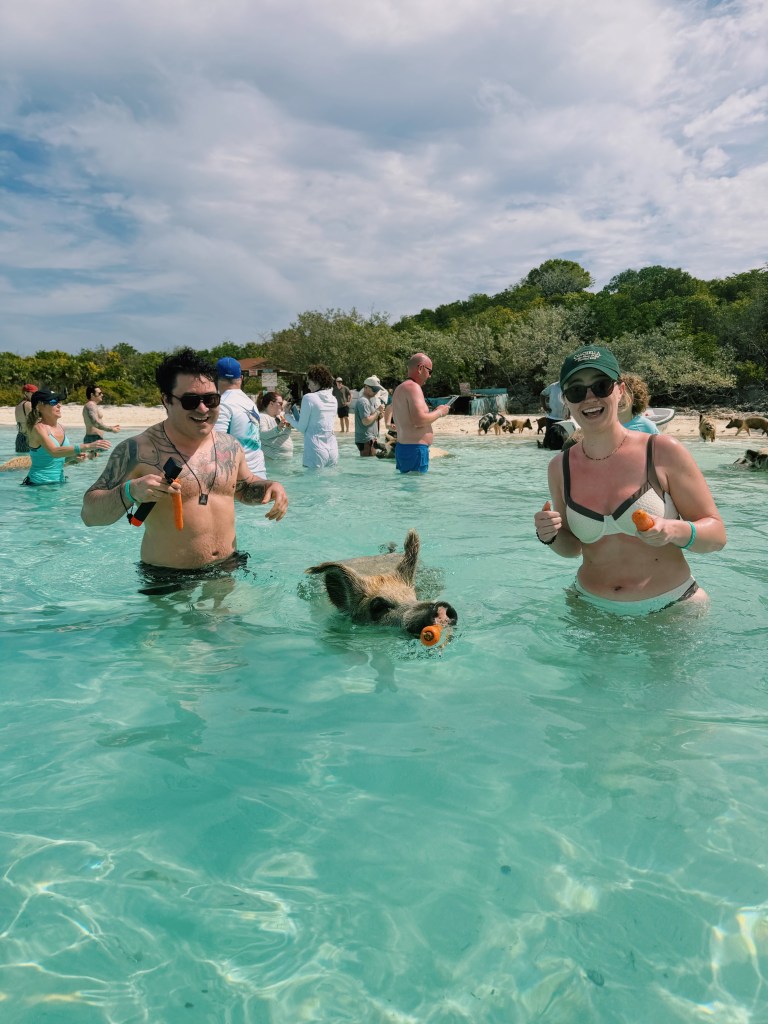 Swimming pigs Exuma