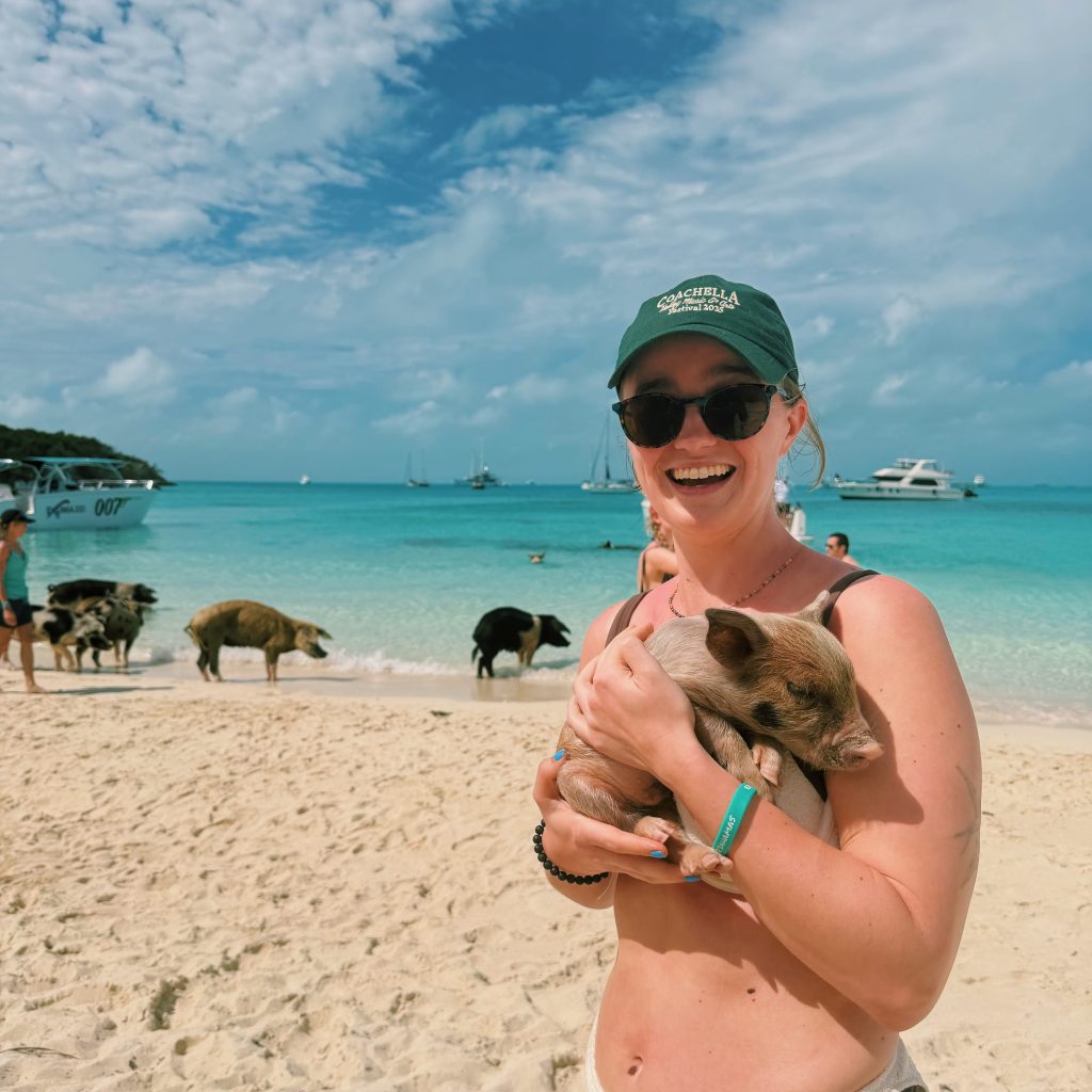 Baby swimming pig in Exuma 